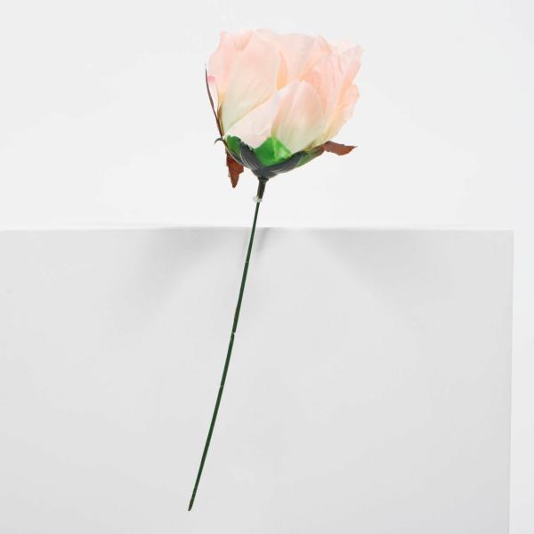 Roses & Peonies | Artificial Peony Rose – Blush Pink Artificial Flowers, Walls & Greenery Blush