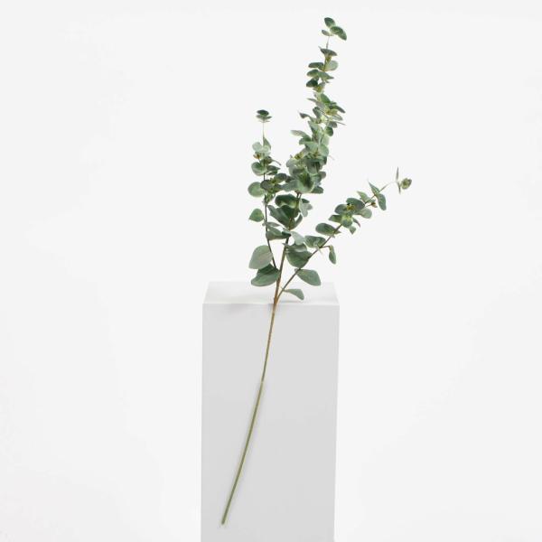 Australian Natives | Silver Dollar Eucalyptus Branch – Medium Leaf (1.1M) Artificial Flowers, Walls & Greenery Australian Natives